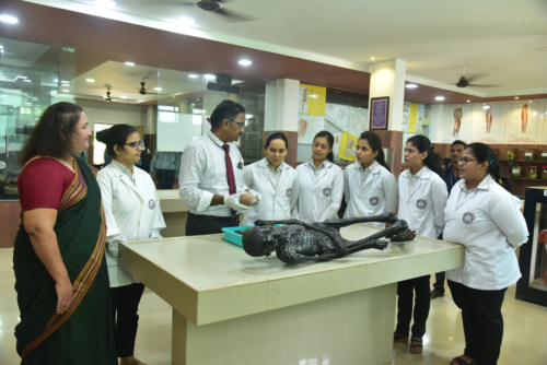 Anatomy-2